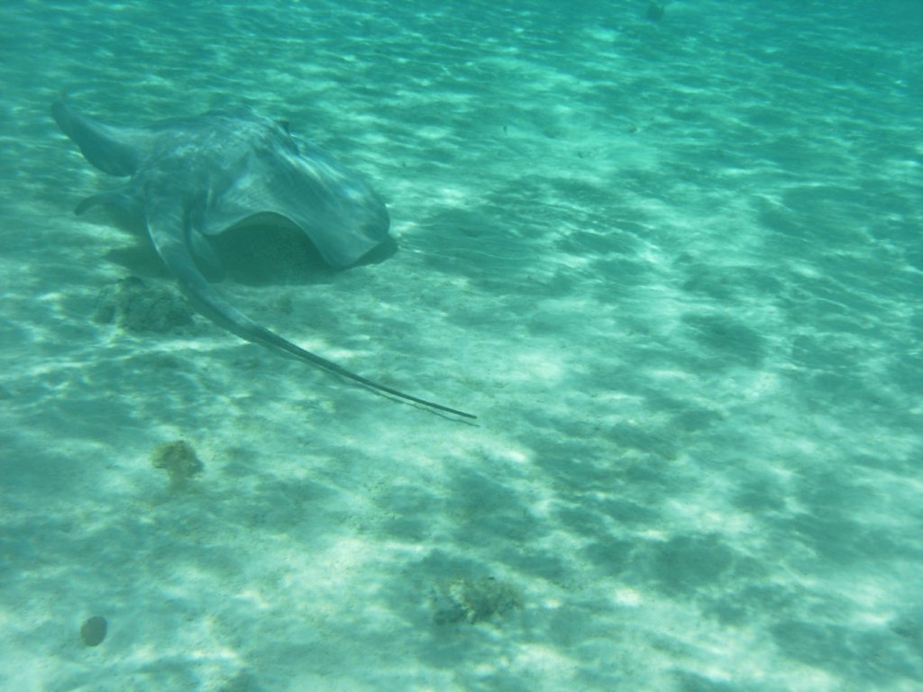mexico_trip_128.jpg