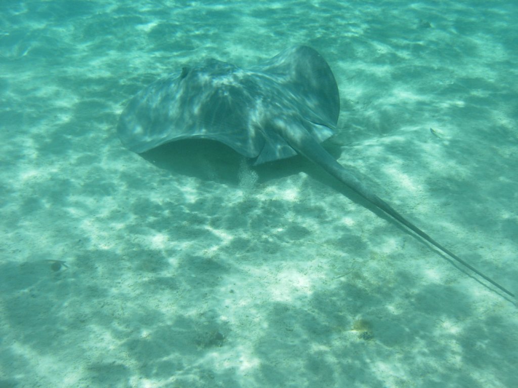 mexico_trip_129.jpg
