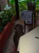 mexico_trip_144_small.jpg