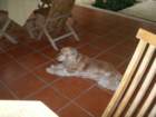 mexico_trip_14_small.jpg