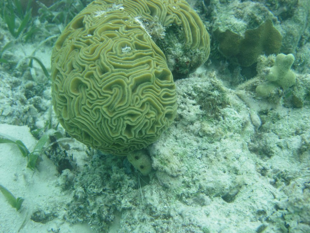 mexico_trip_163.jpg