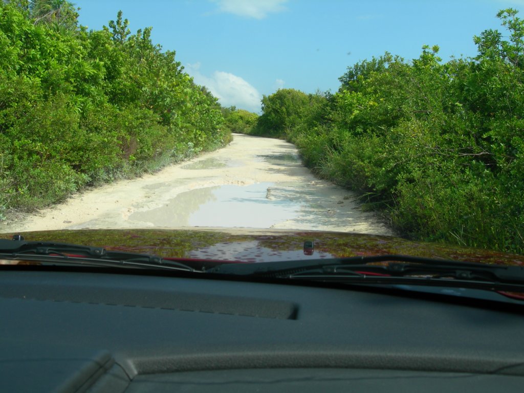 mexico_trip_212.jpg