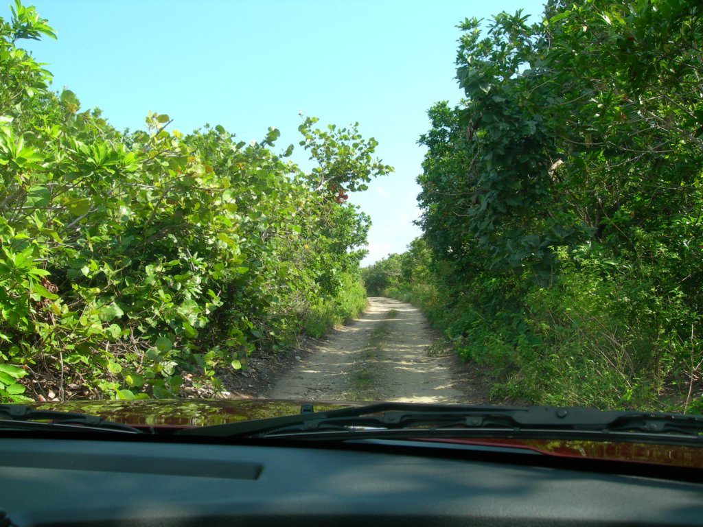 mexico_trip_220.jpg