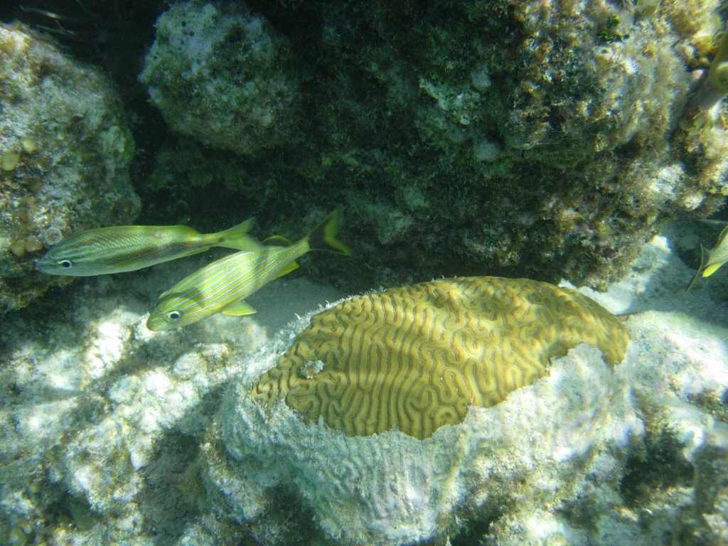mexico_trip_233.jpg