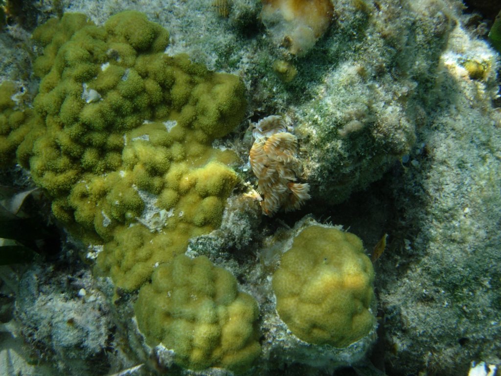 mexico_trip_241.jpg
