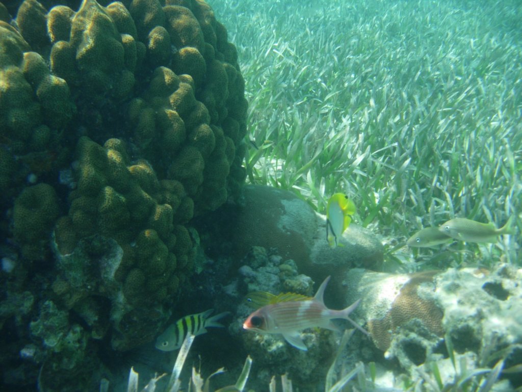 mexico_trip_244.jpg