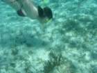 mexico_trip_247_small.jpg