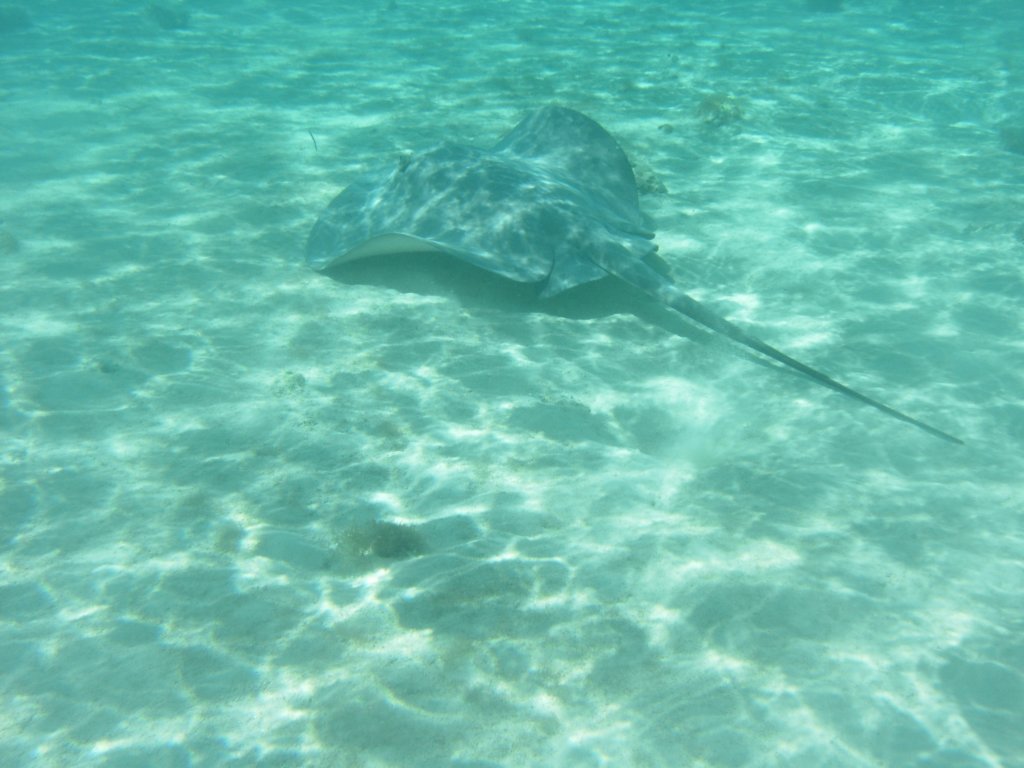 mexico_trip_254.jpg