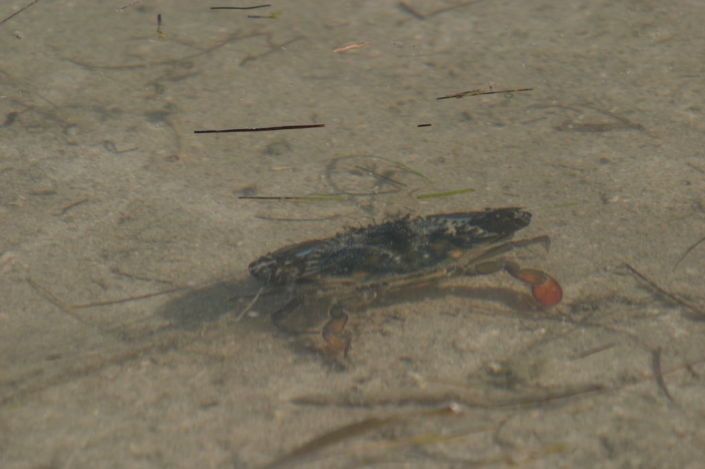 mexico_trip_295.jpg