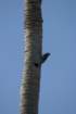 mexico_trip_314_small.jpg