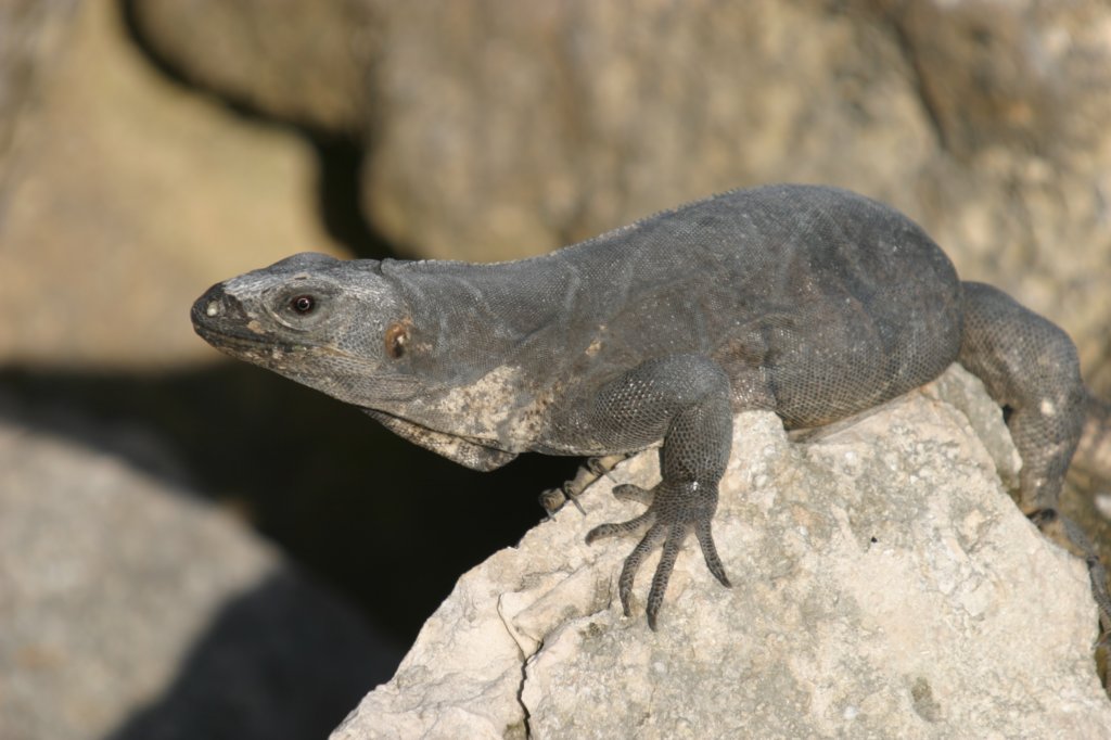 mexico_trip_323.jpg