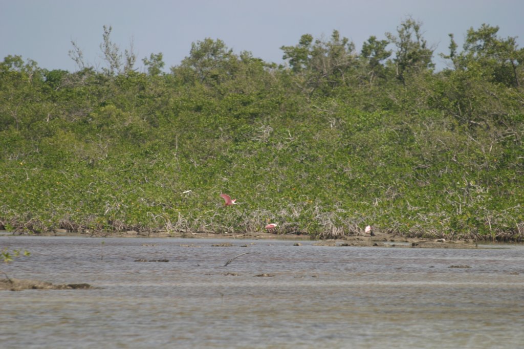 mexico_trip_367.jpg