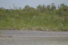 mexico_trip_367_small.jpg