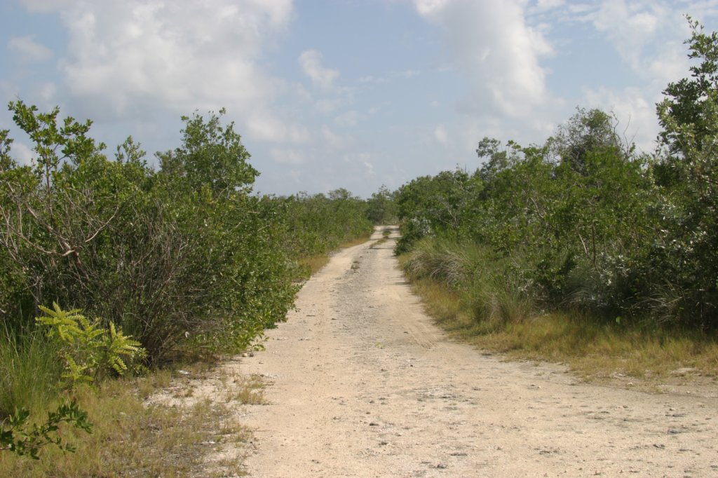 mexico_trip_371.jpg