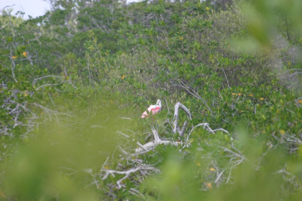 mexico_trip_375.jpg