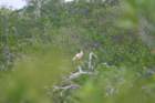 mexico_trip_375_small.jpg