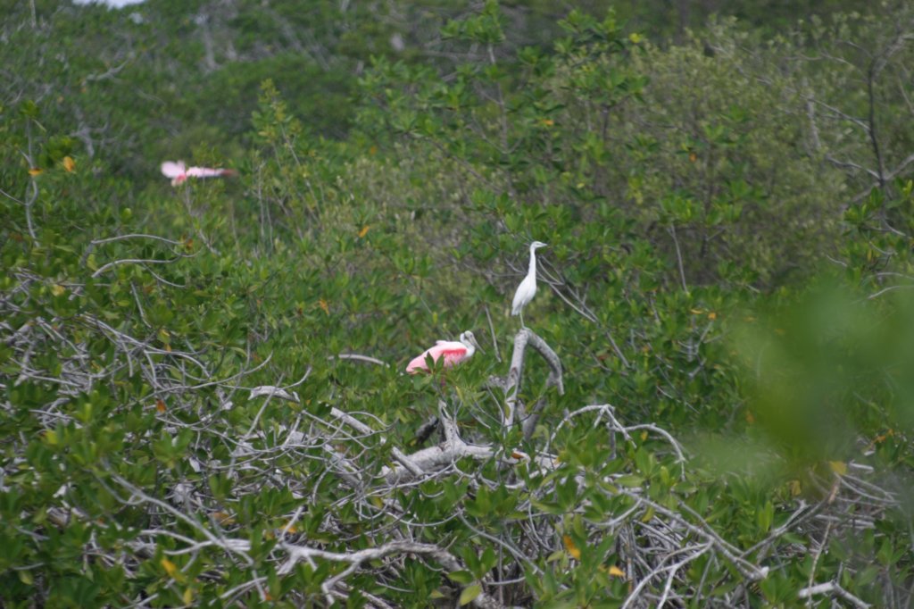 mexico_trip_385.jpg