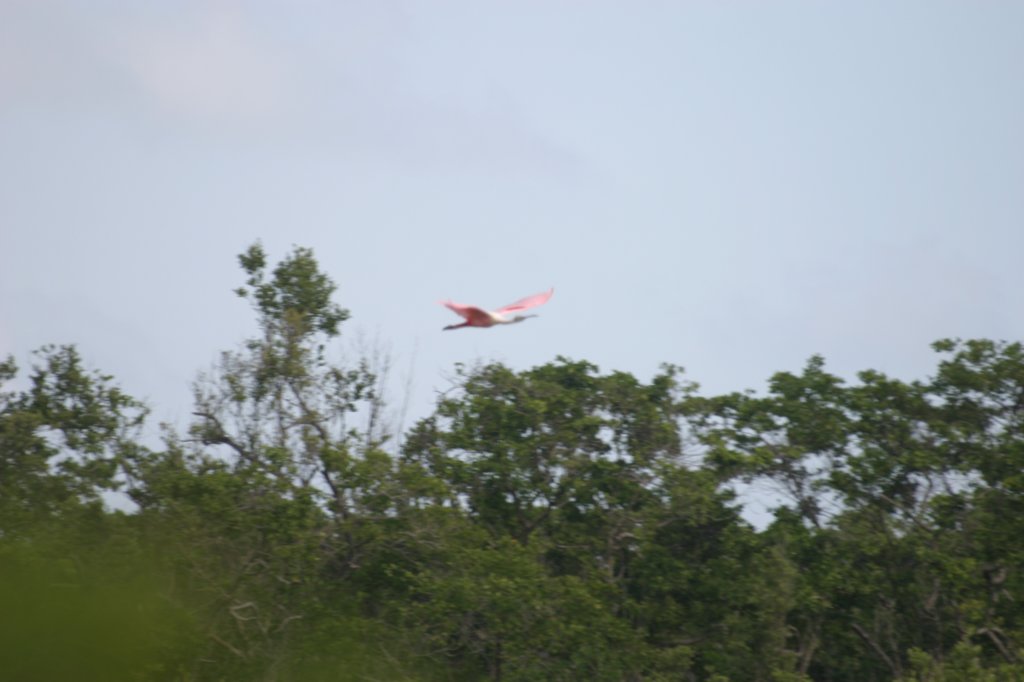 mexico_trip_387.jpg