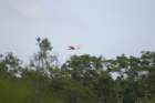 mexico_trip_387_small.jpg