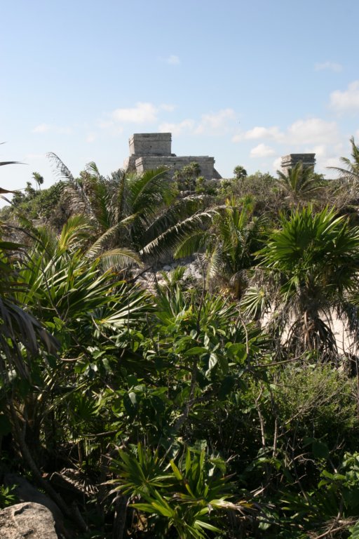 mexico_trip_456.jpg