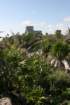mexico_trip_456_small.jpg