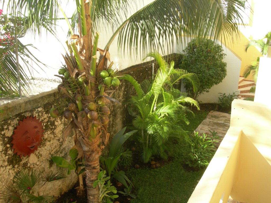 mexico_trip_460.jpg
