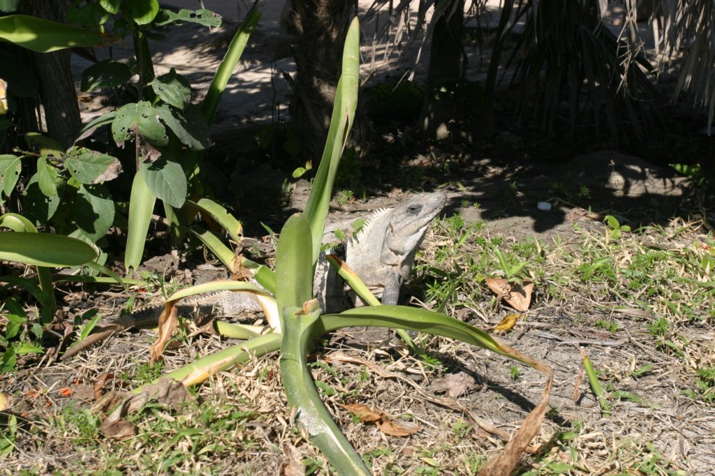 mexico_trip_494.jpg
