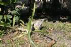 mexico_trip_494_small.jpg