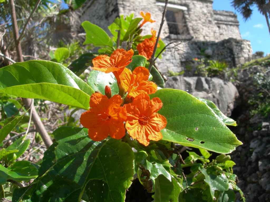 mexico_trip_504.jpg