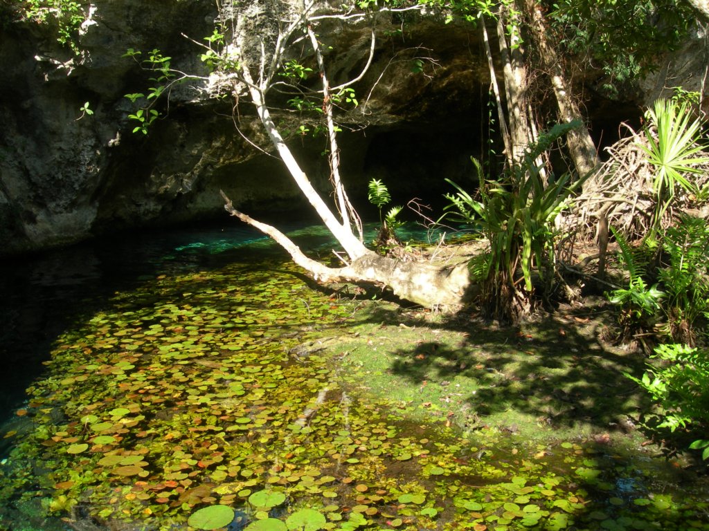 mexico_trip_523.jpg