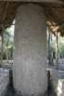 mexico_trip_557_small.jpg
