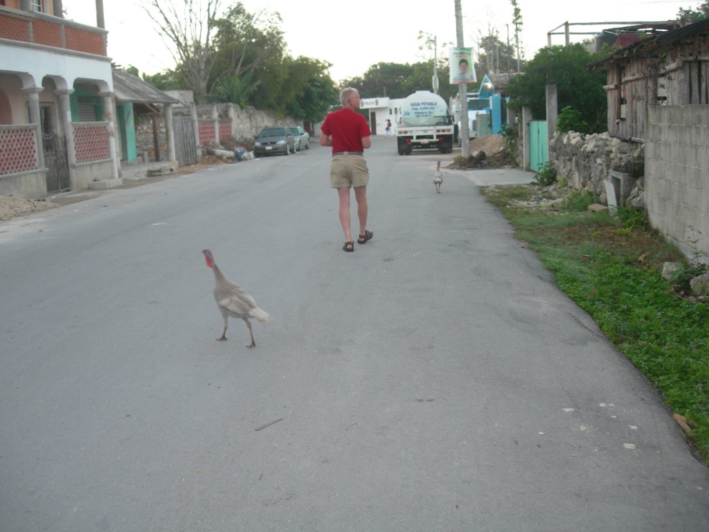 mexico_trip_624.jpg