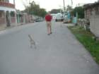 mexico_trip_624_small.jpg