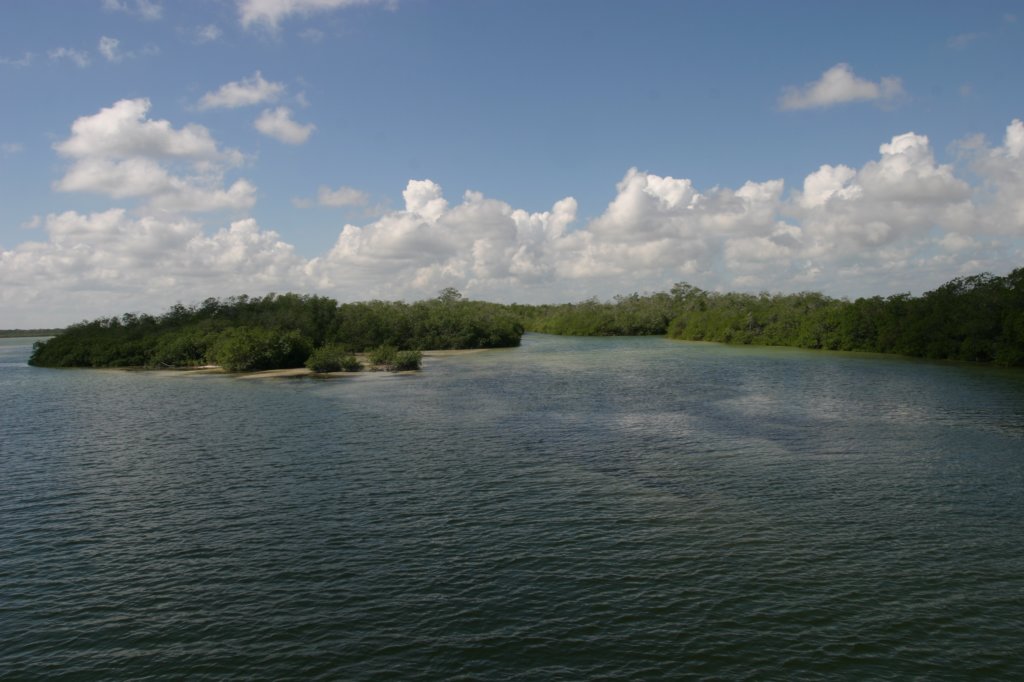 mexico_trip_636.jpg