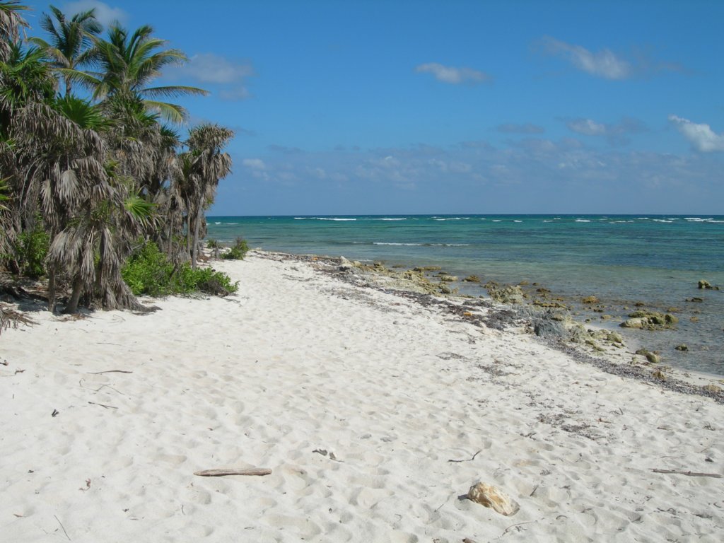 mexico_trip_675.jpg