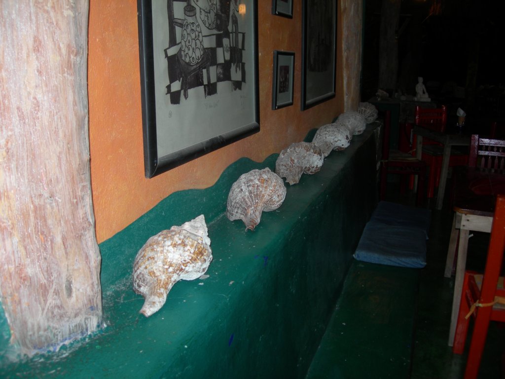 mexico_trip_687.jpg