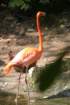 mexico_trip_701_small.jpg