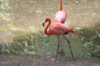 mexico_trip_704_small.jpg