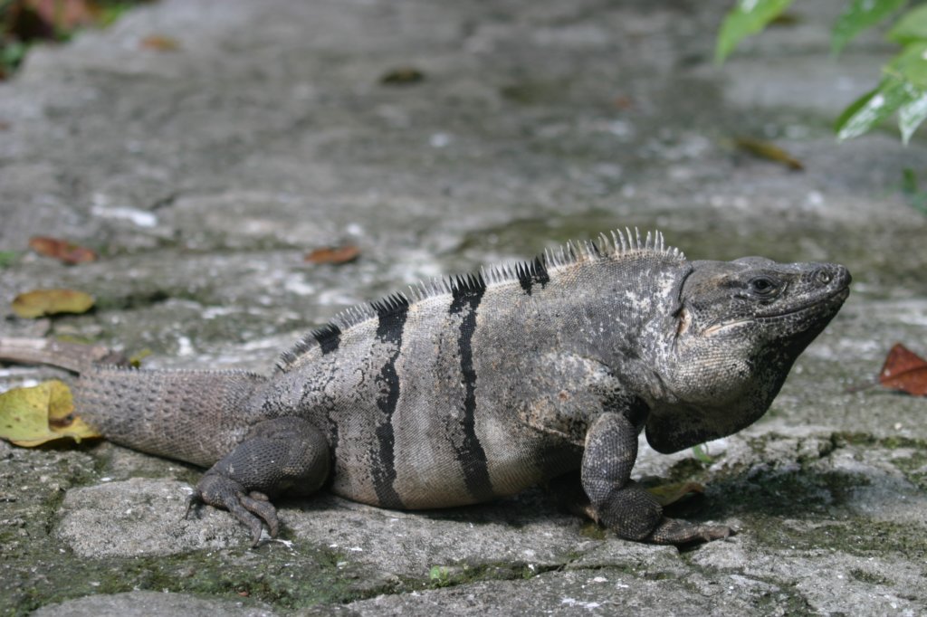 mexico_trip_709.jpg