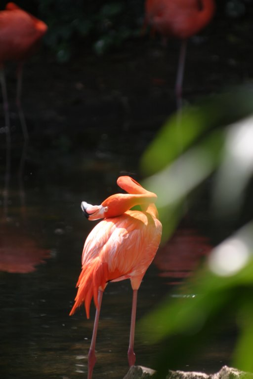 mexico_trip_711.jpg