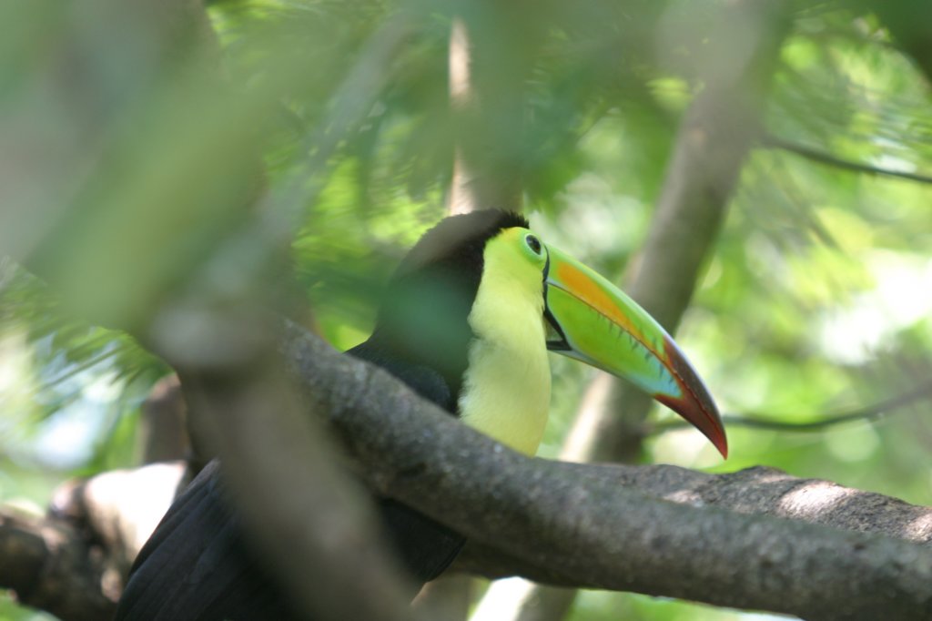 mexico_trip_751.jpg