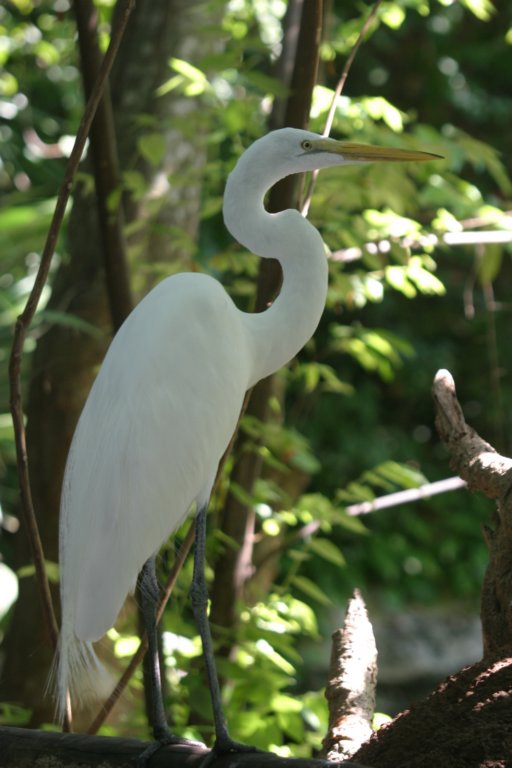 mexico_trip_760.jpg