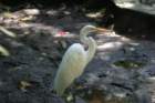 mexico_trip_771_small.jpg