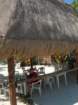 mexico_trip_93_small.jpg