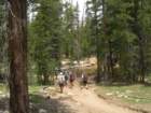 grandcanyon004_small.jpg