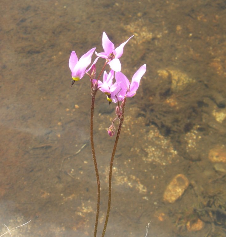 grandcanyon014_cropped.jpg