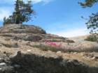 grandcanyon034_small.jpg