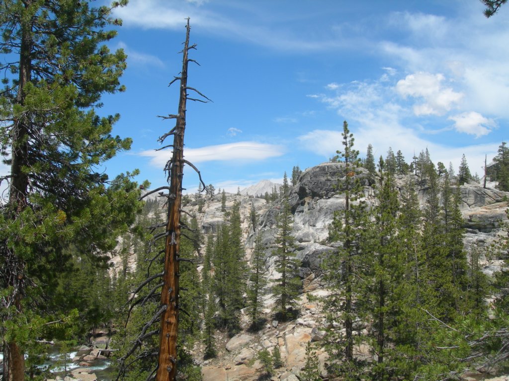 grandcanyon043.jpg