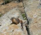 grandcanyon047_cropped_small.jpg