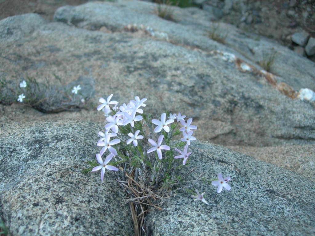 grandcanyon134.jpg
